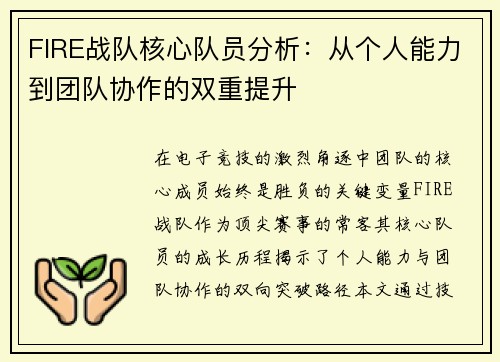 FIRE战队核心队员分析：从个人能力到团队协作的双重提升